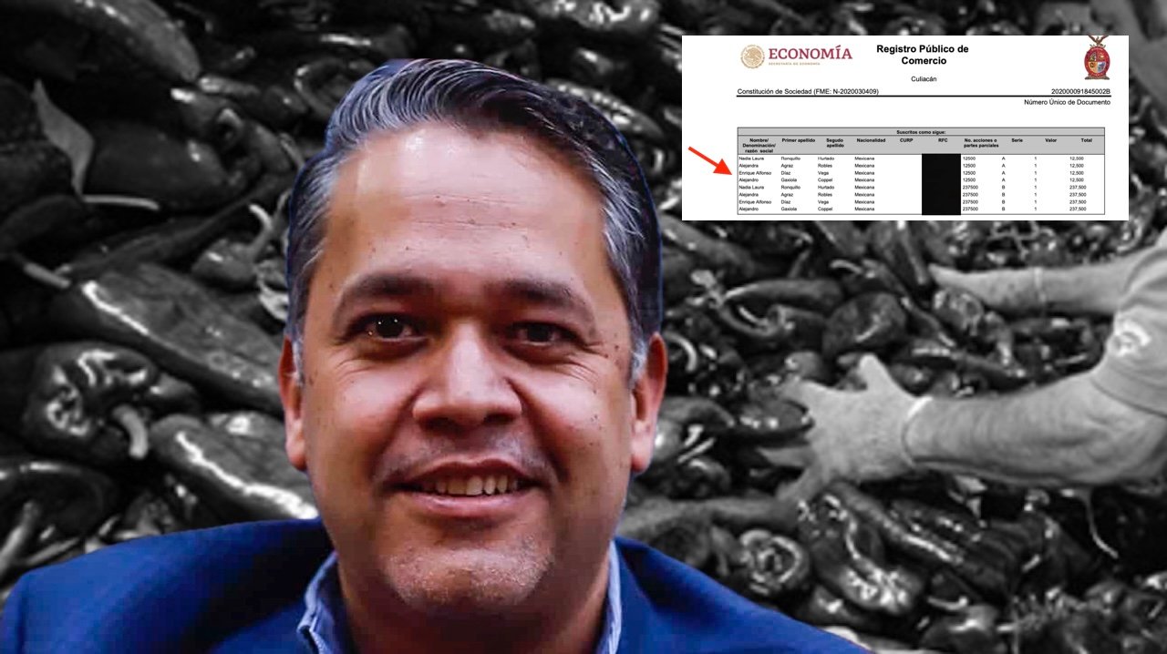 Investigación sobre Enrique Díaz Vega: Exportaciones de Chiles y Vínculos Cuestionados
